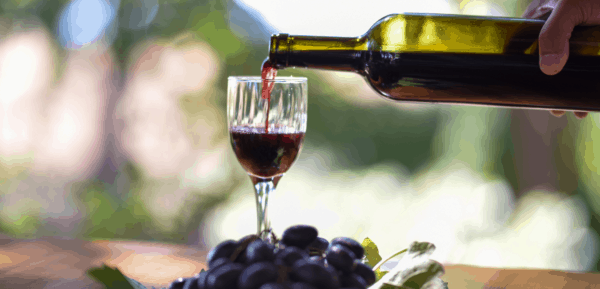 maridaje de vinos