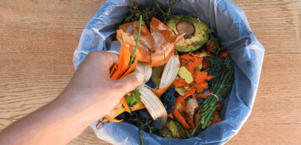 Desechos de inventario